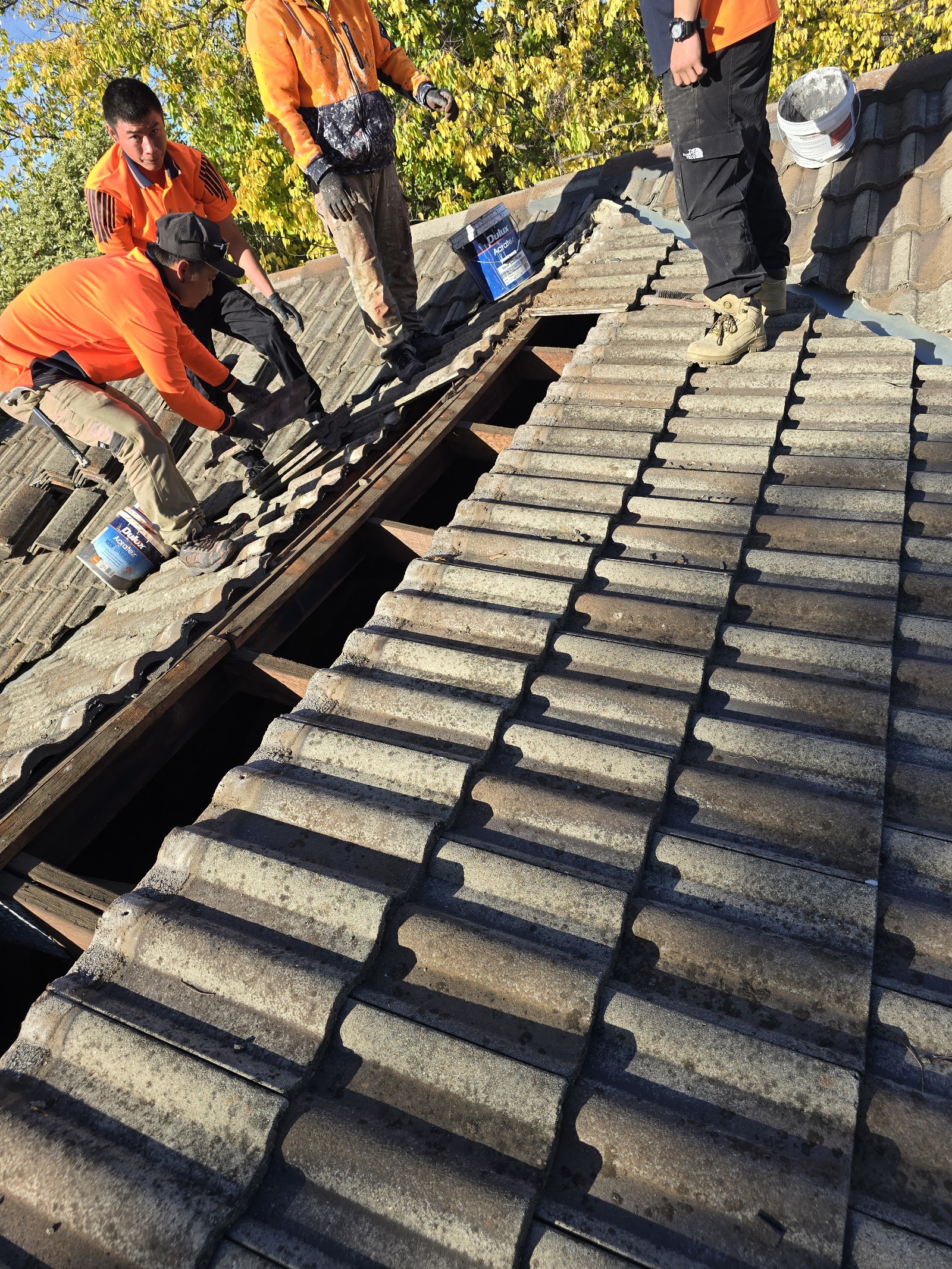 The crew lifting old tiles and working along the ridge with paint on site